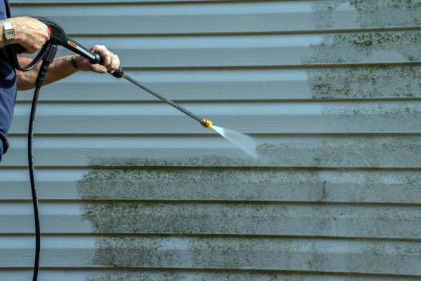 Best Driveway Cleaning and Restoration in Man, IL